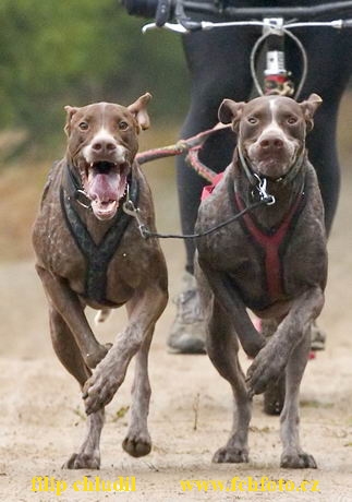 MR Tri studne - 214a.jpg